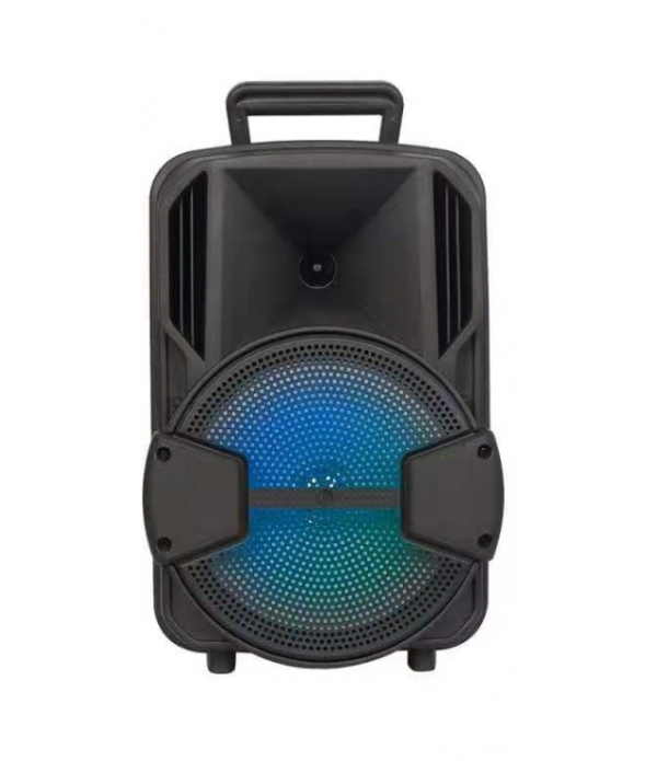 Rechargeable Karaoke Speaker Model- 801